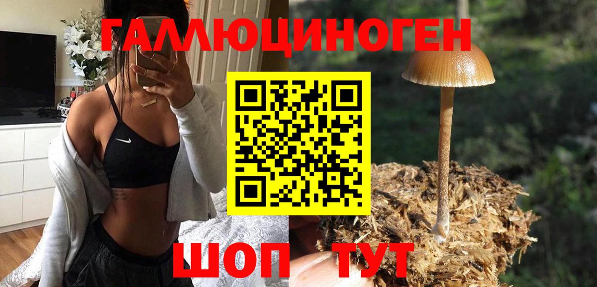Морозовск  Галлюциногенные грибы Magic Shrooms  Вход с VPN  Псилоцибиновые грибы мицелий 